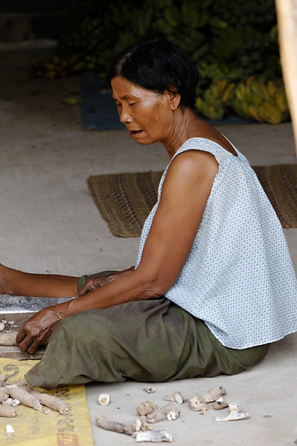 Famille et amis FEV12-070